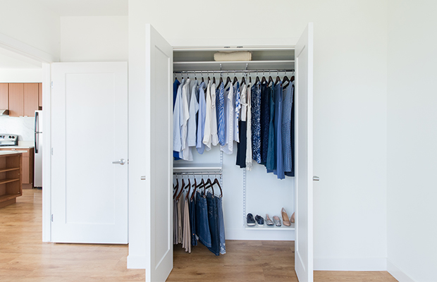 Reach-in closet with women dresses and shirts.